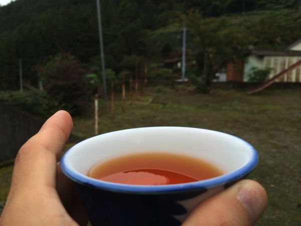 イケダハヤト お茶